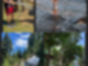 2023 green school app final (5)